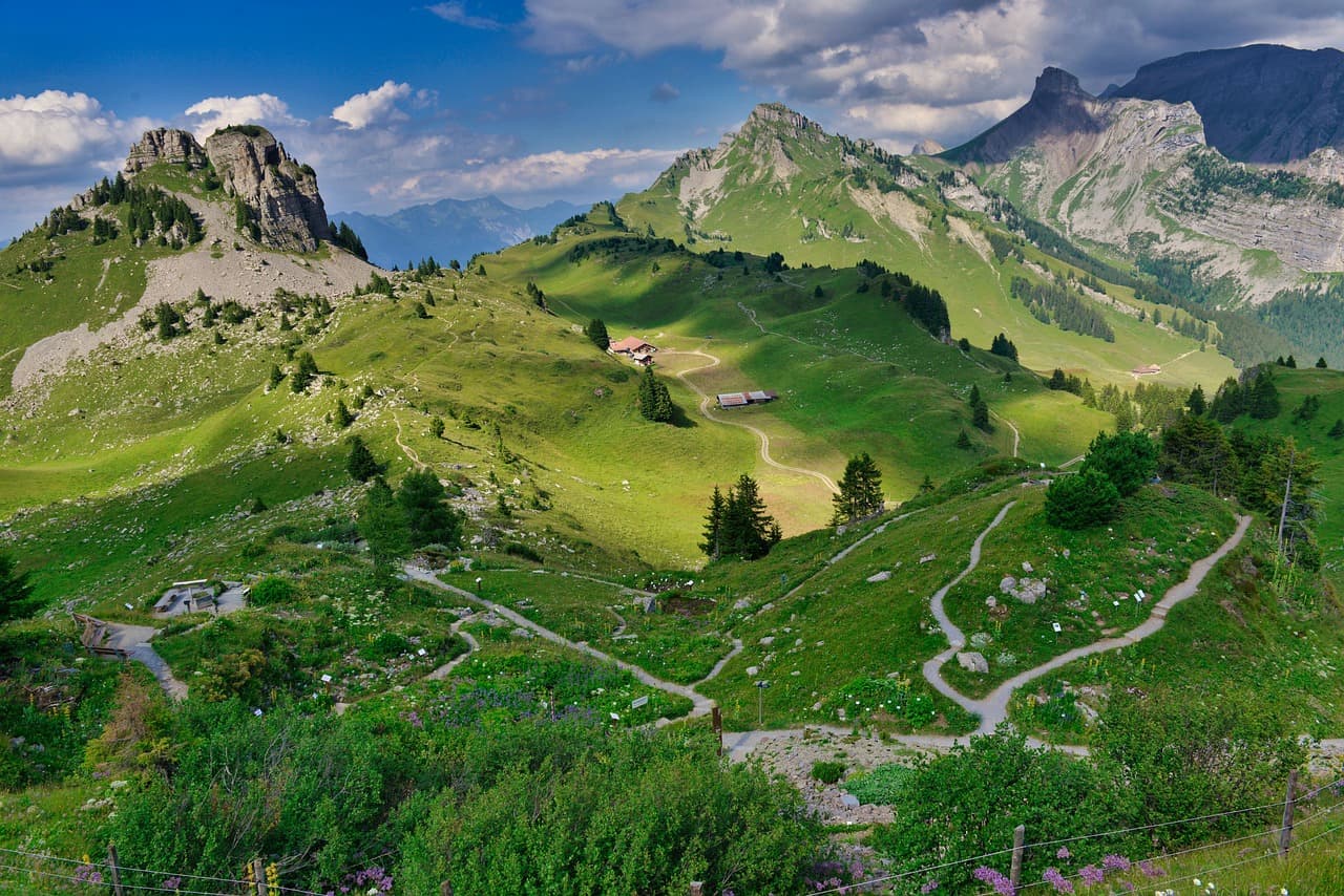 Un paysage d'alpage en Suisse.