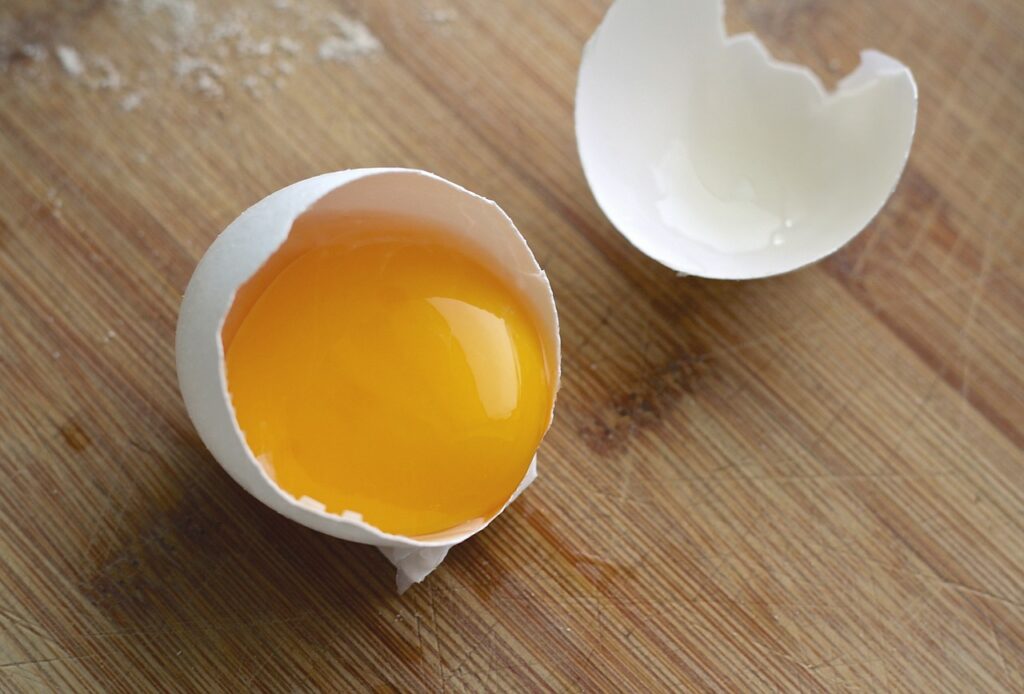 Un œuf cassé, dans une moitié il y a encore le jaune d'œuf.