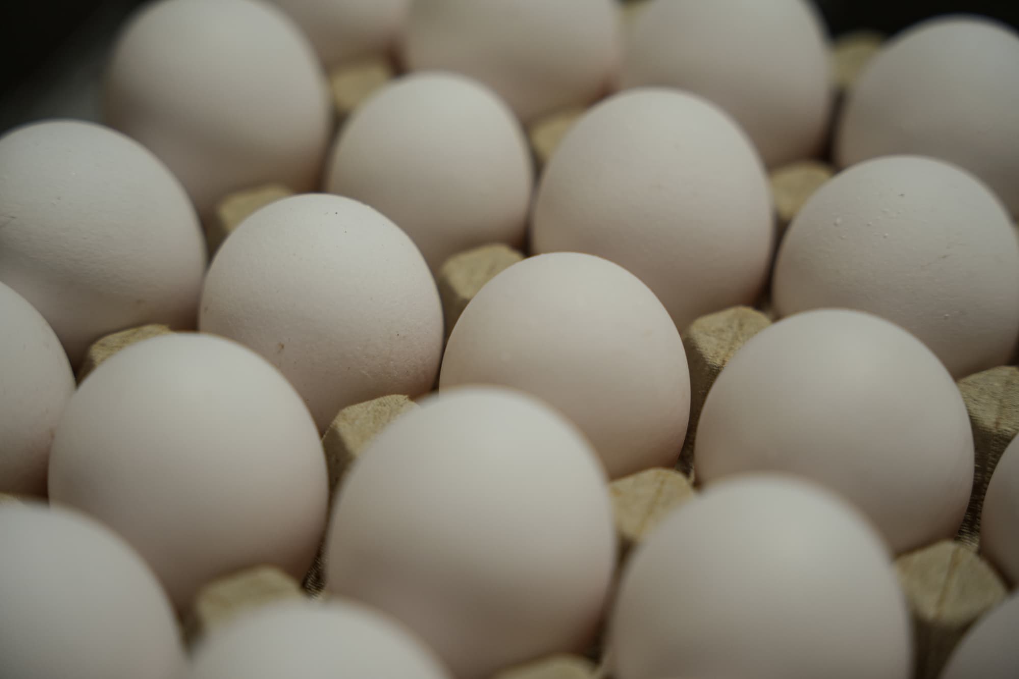Des œufs blancs dans une boîte.