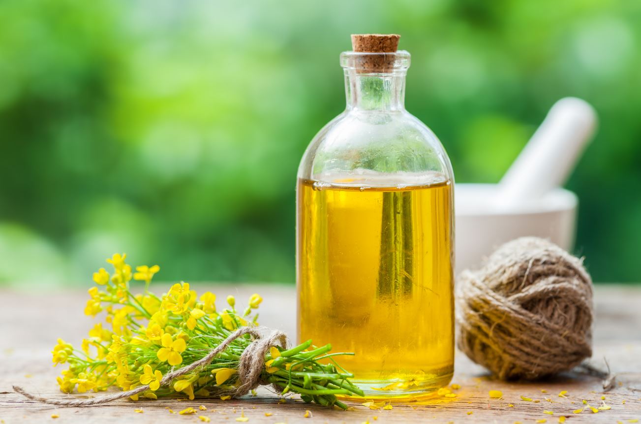 De l'huile de colza dans une bouteille en verre sur la table, à côté d'un bouquet de colza.