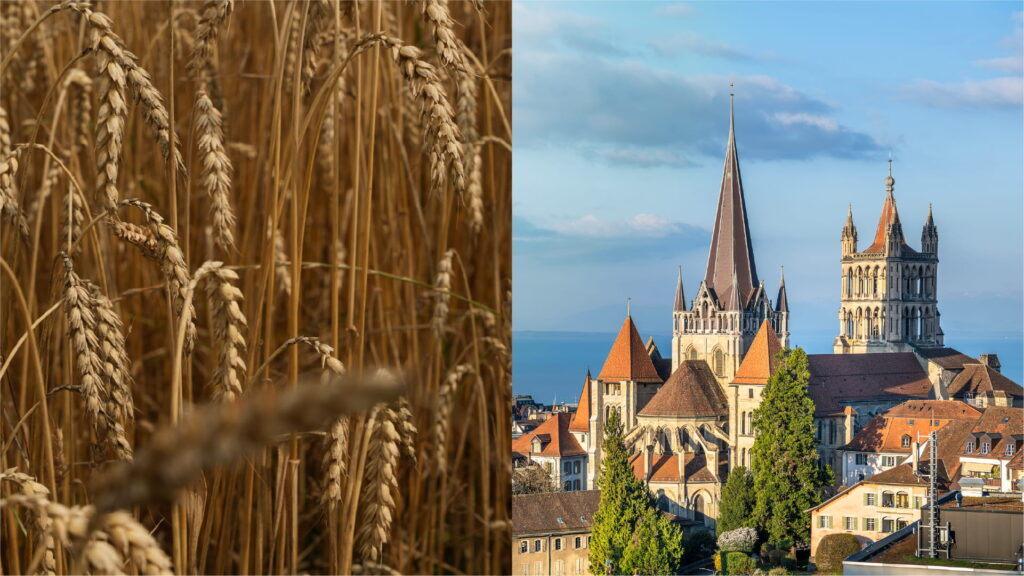 Visuel de la campagne principale à droite, on voit la ville de Lausanne et à gauche des céréales.