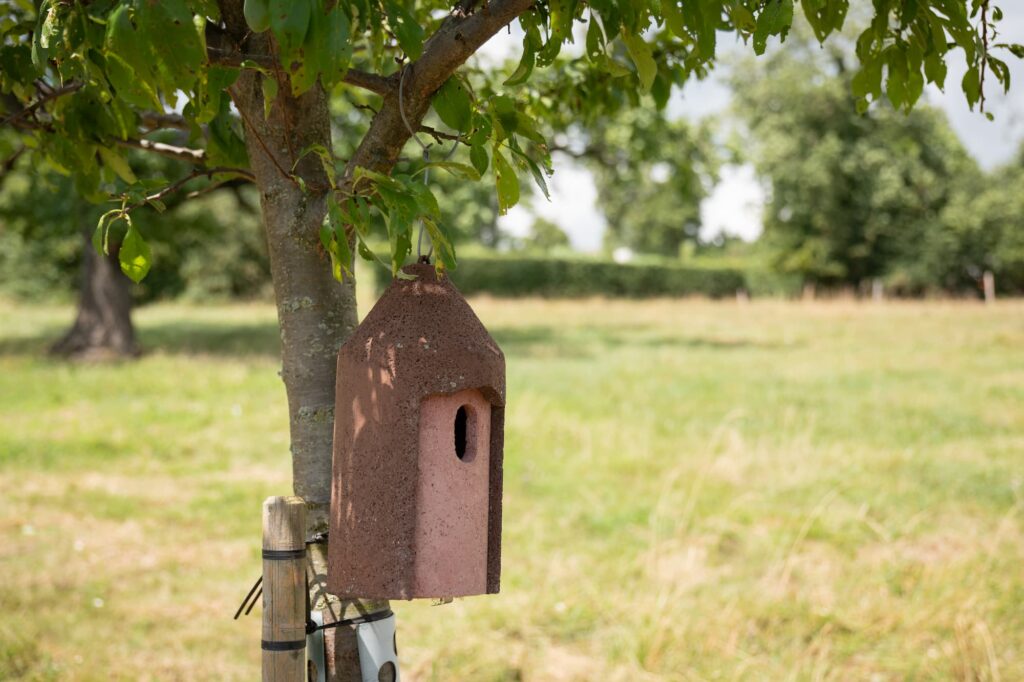 Un nichoir accroché à un arbre.
