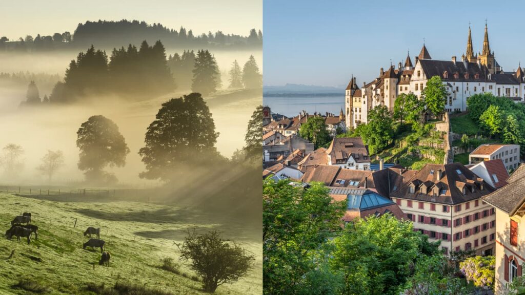 Sur l'image de la campagne principale, on voit la ville de Neuchâtel à droite et des vaches dans un pré à gauche.