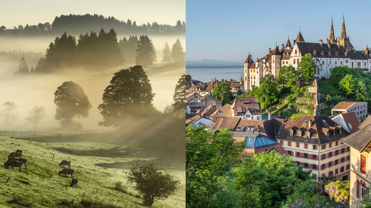 Sur l'image de la campagne principale, on voit la ville de Neuchâtel à droite et des vaches dans un pré à gauche.