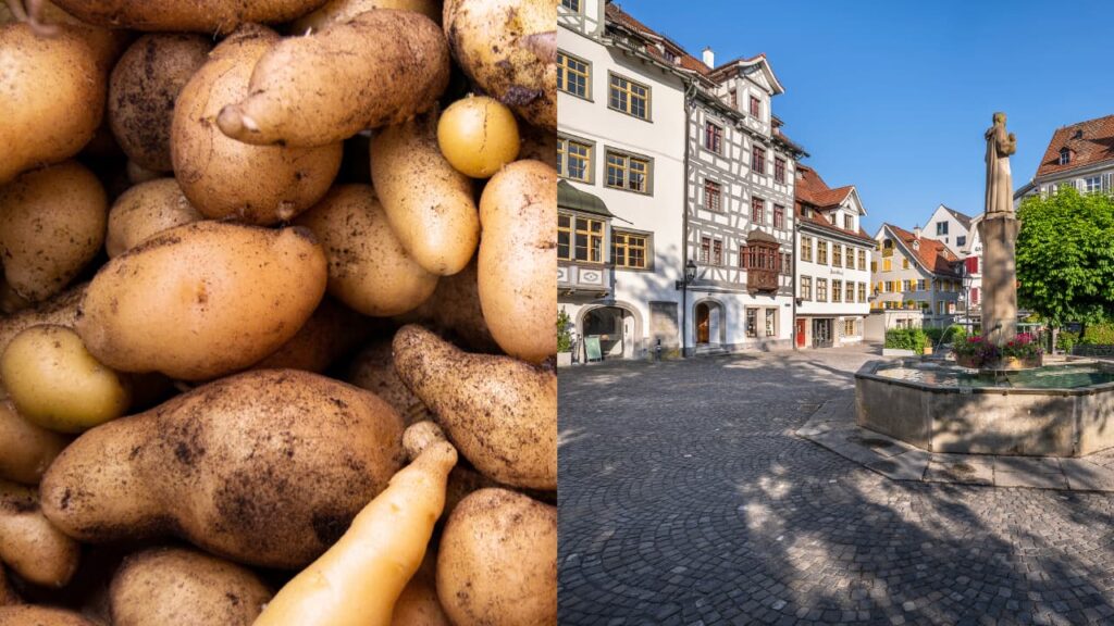 Sur l'image de la campagne principale, on voit à droite la ville de Saint-Gall et à gauche des pommes de terre.