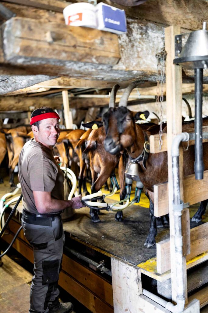 Hubert Marclay avec ses chèvres.