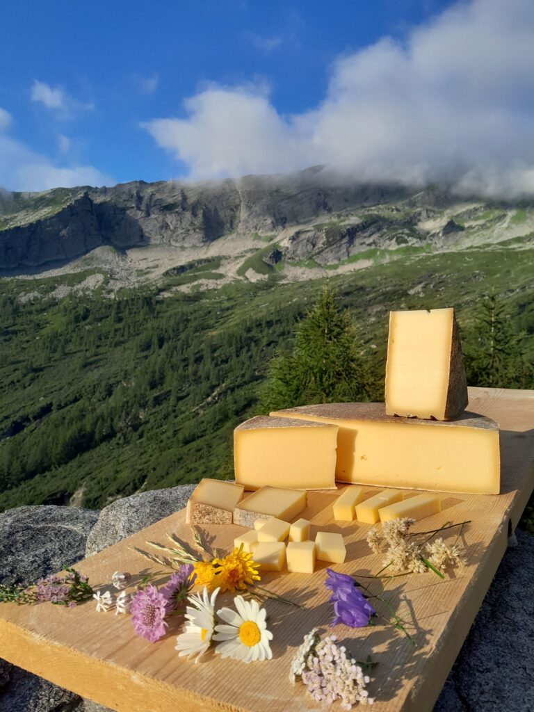 Fromages présentés sur un plat.