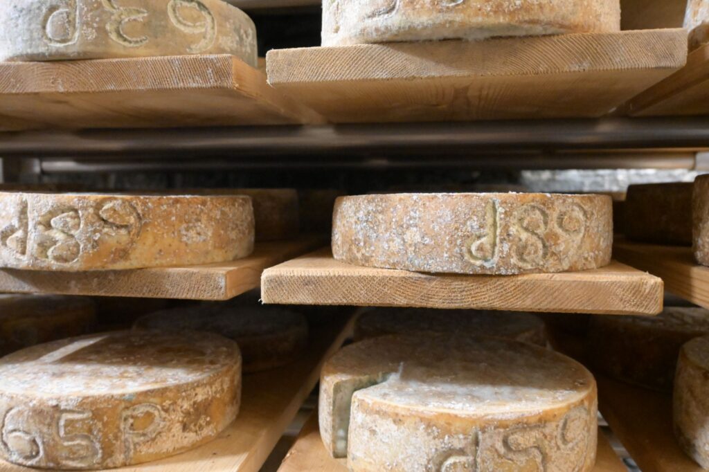 Fromage en cours d'affinage.
