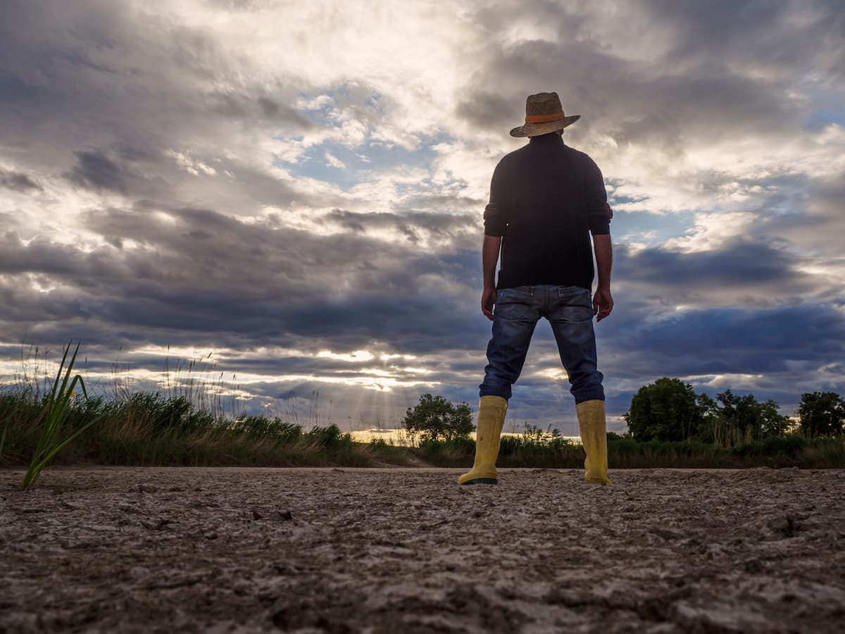 Un agriculteur, vêtu de bottes de pluie et d'un chapeau, se tient dans le champ et regarde au loin.